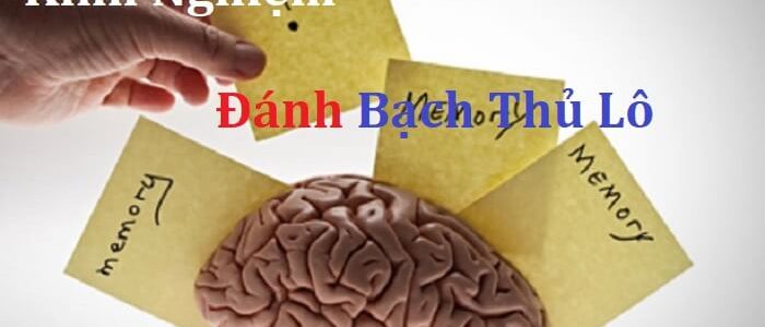 kinh nghiem danh bach thu lo